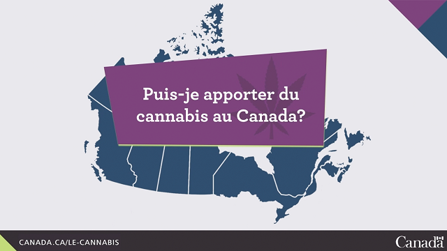 Lois concernant le cannabis à la frontière canadienne
