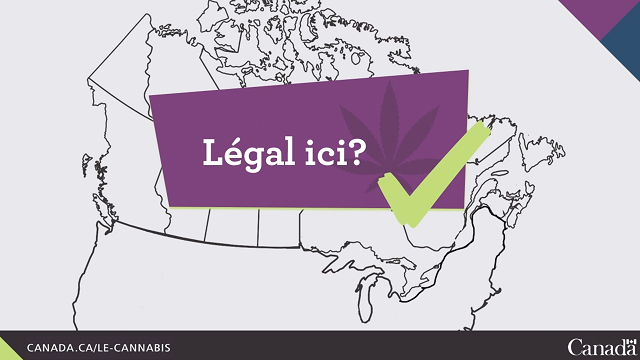 Ne traversez pas la frontière canadienne avec du cannabis