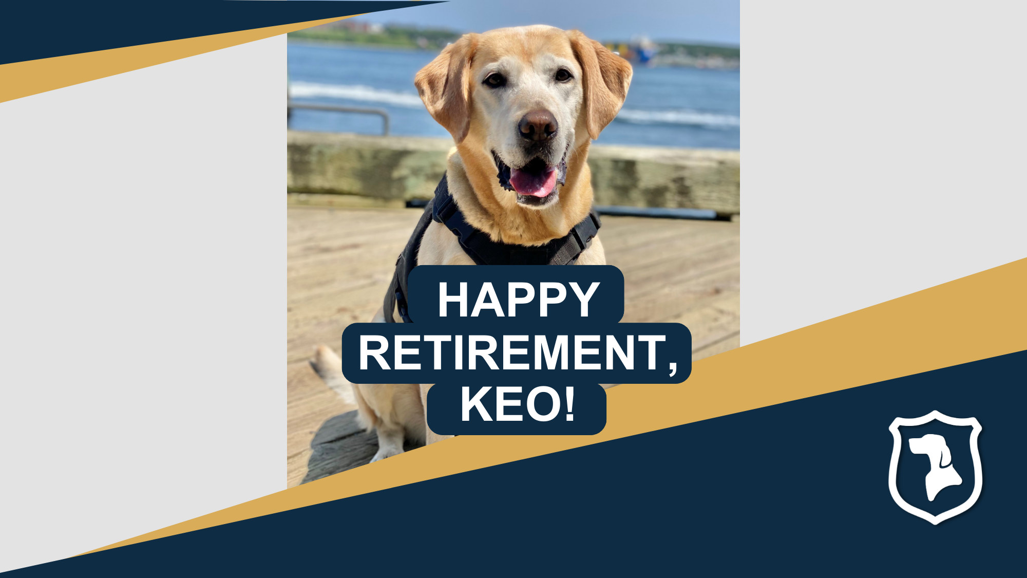 CBSA Atlantic Region Detector Dog Keo retires after 7 years of service