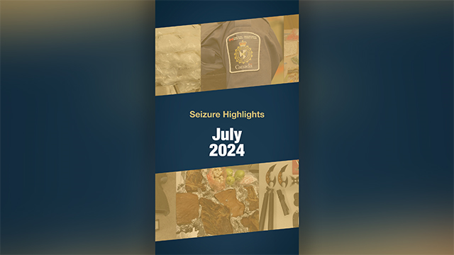 Seizures highlights for the month of July