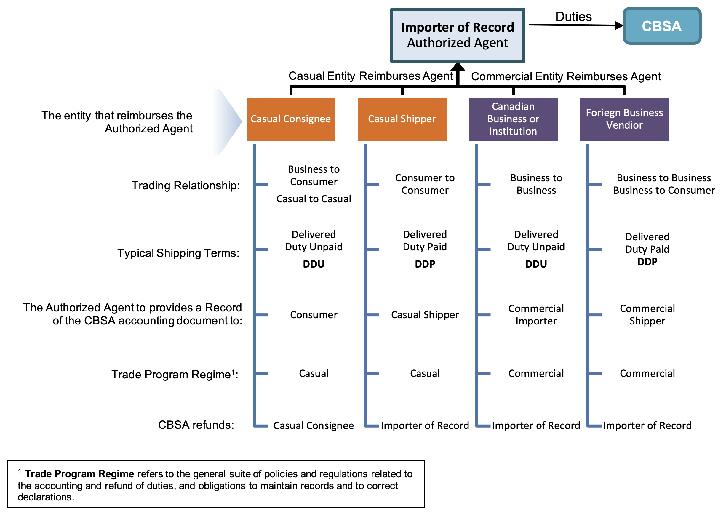 Liability framework when an authorized agent is the importer of record